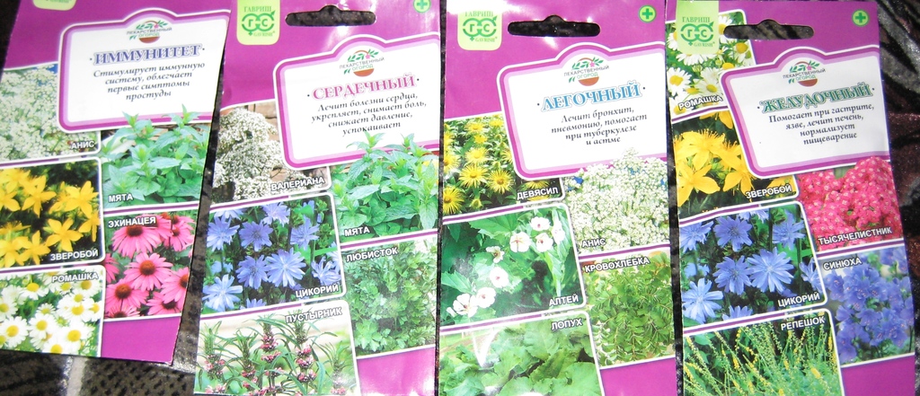 Куплю семена лекарственных растений Куплю семена лекарственных растений