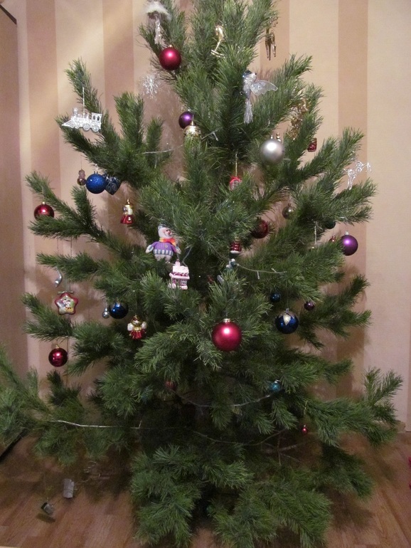 Первый новый год нашей