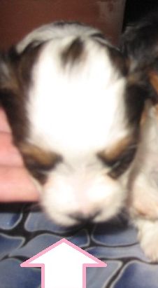 Привет. Давайте знакомиться! :)