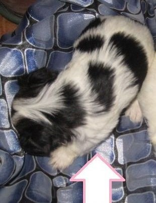 Привет. Давайте знакомиться! :)