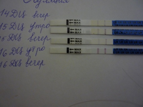 В продолжение вчерашнего поста. "Это она?"