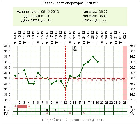  Foto 42