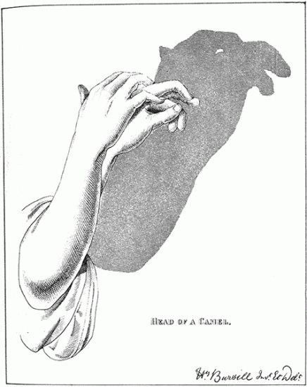 Театр теней своими руками