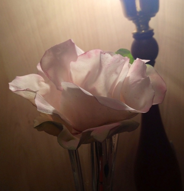 Цветы на торт