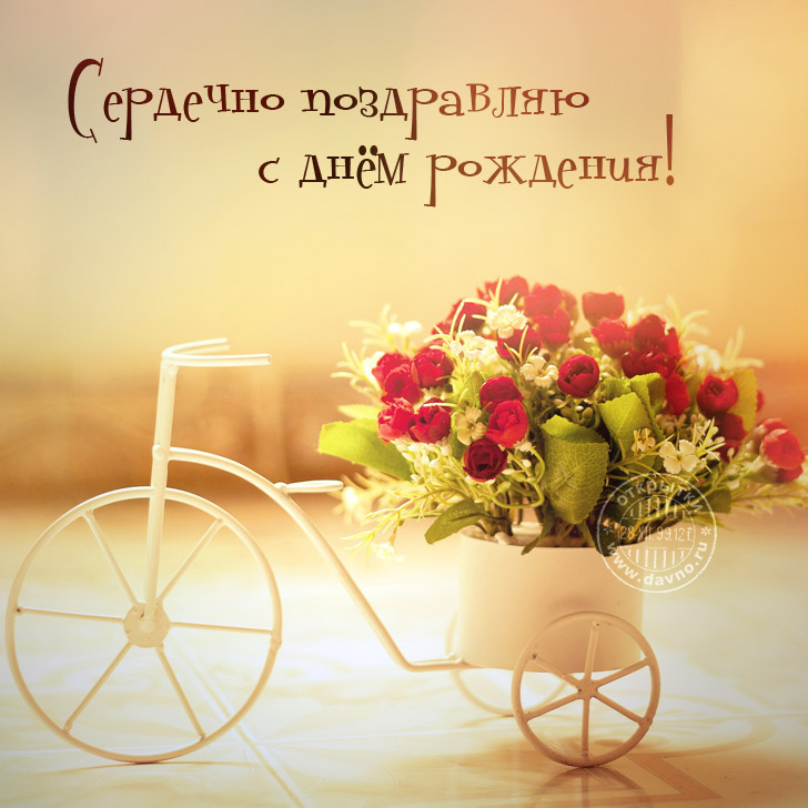 Необычные цветы с днём рождения Необычные цветы с днём рождения