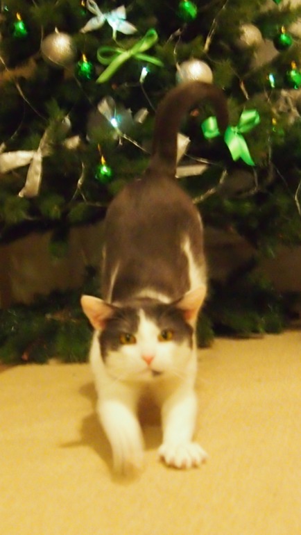 Olympus E-PL3. Помогите разобраться