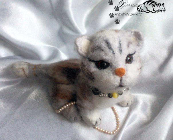 Котик Гламур.