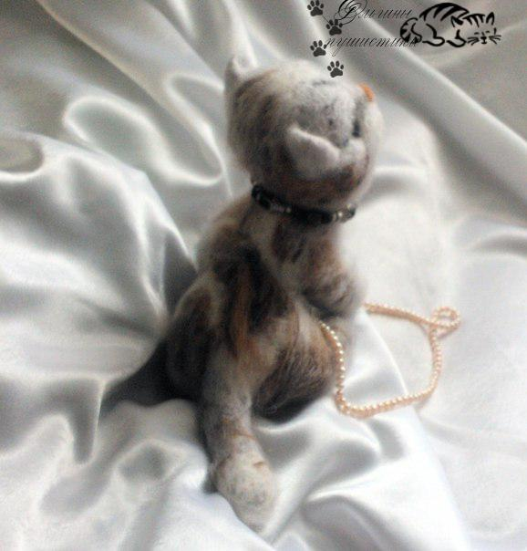 Котик Гламур.