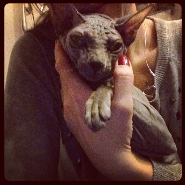 Бедная моя Лю((((