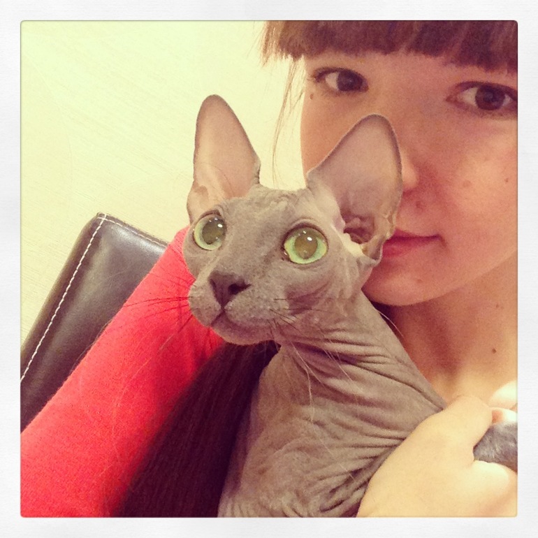 Животные в новом доме)