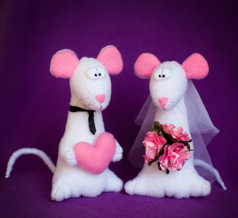 Свадебные коты и прочая влюбленная живность!