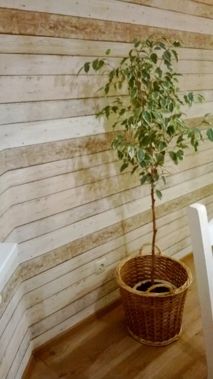 наше новоселье))))