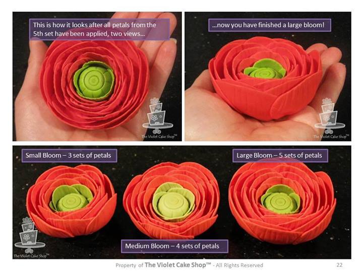 Ранункулюс, по-нашему лютик (Интернет)