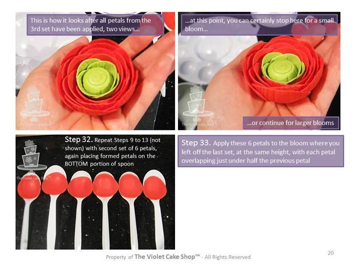 Ранункулюс, по-нашему лютик (Интернет)