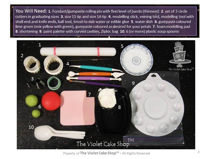 Ранункулюс, по-нашему лютик (Интернет)