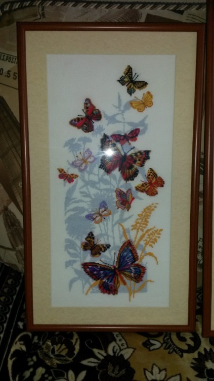 Мои бабочки.