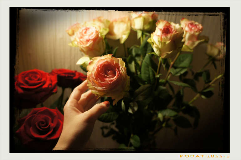 Приятное послесловие праздников!......)