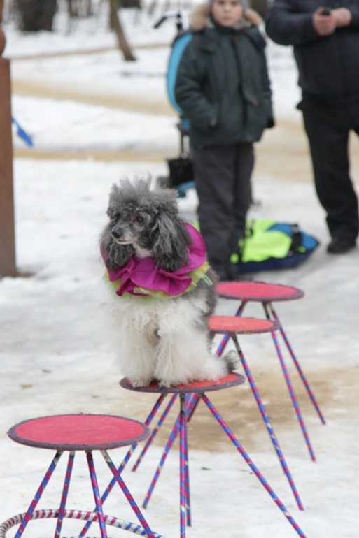 Праздник в парке