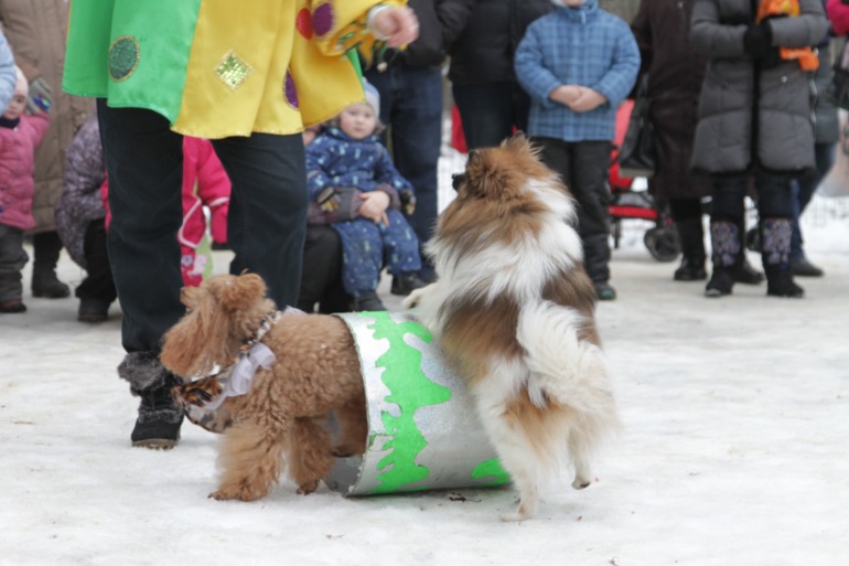 Праздник в парке