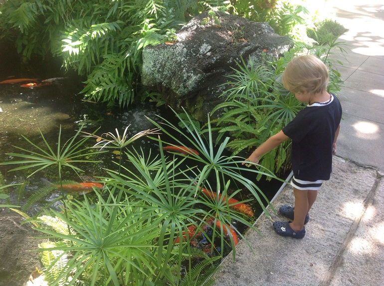 Последний день лета