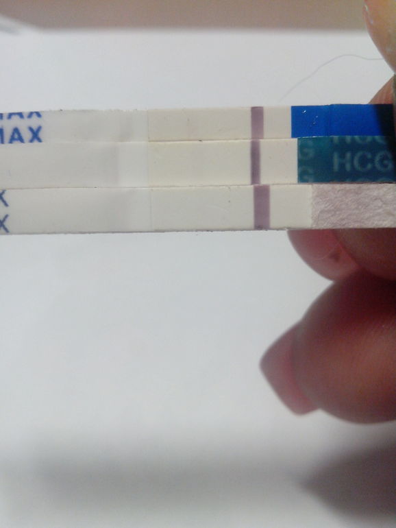 Овуляция или Беременность. Часть 3 Заключительная.