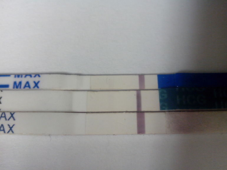 Овуляция или Беременность. Часть 3 Заключительная.