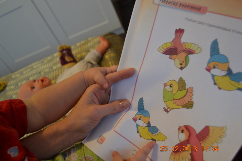 ТН Птицы 4,5 день