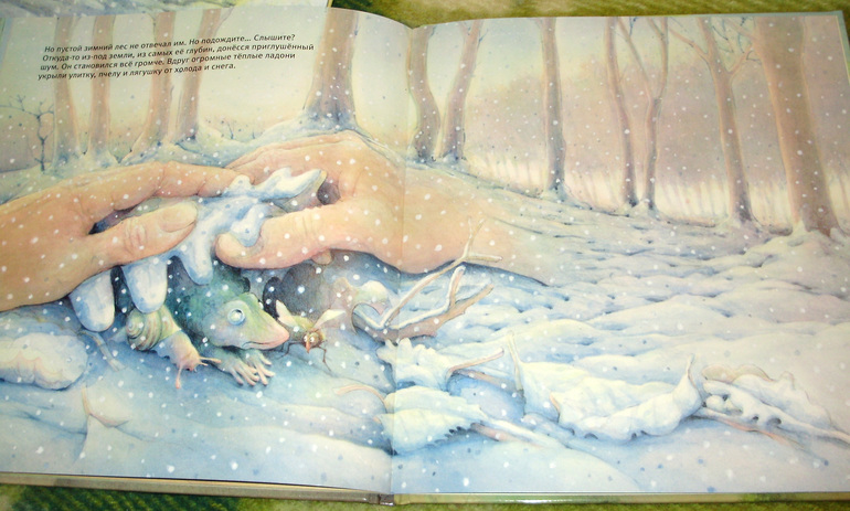 Зимние книги и другие новинки декабря