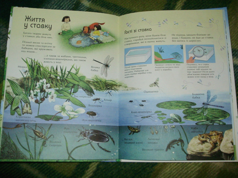 Зимние книги и другие новинки декабря