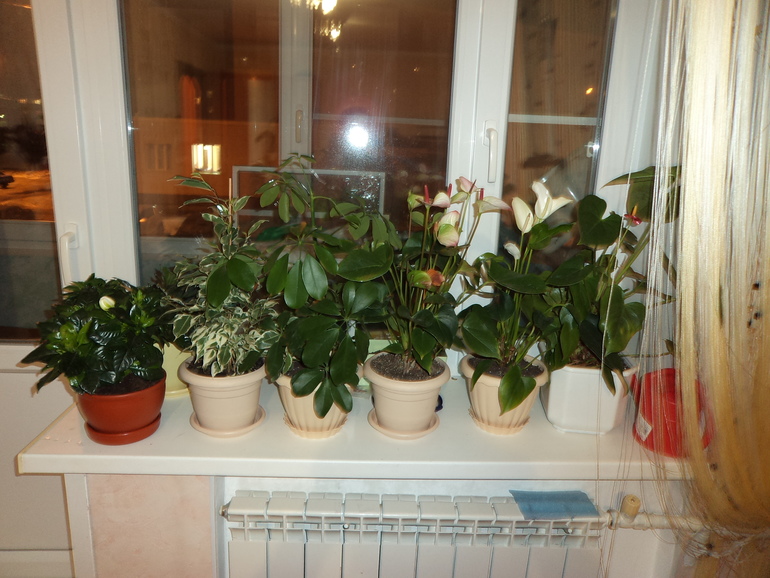 Просто покажу...