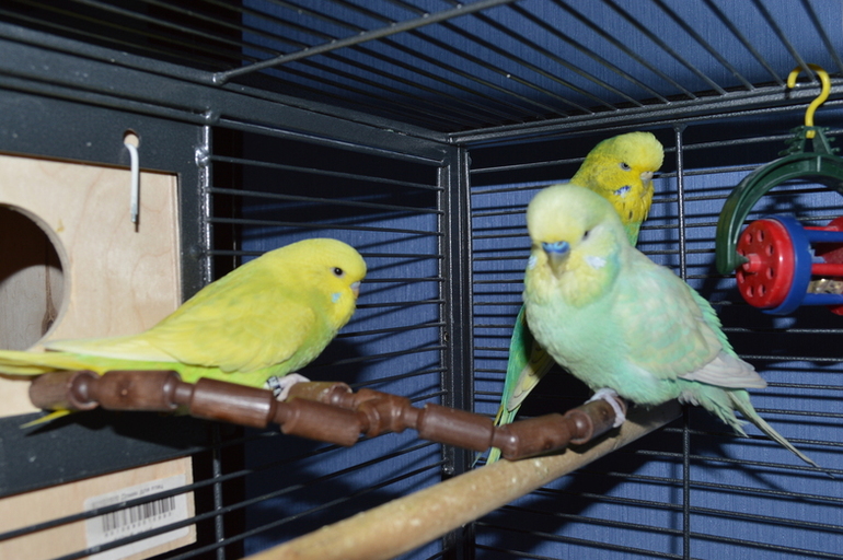 Мы повзрослели!