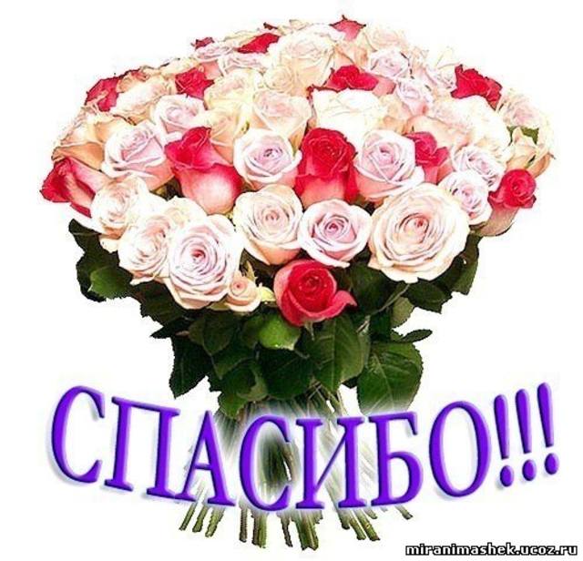 Благодарность за подарок цветы Благодарность за подарок цветы