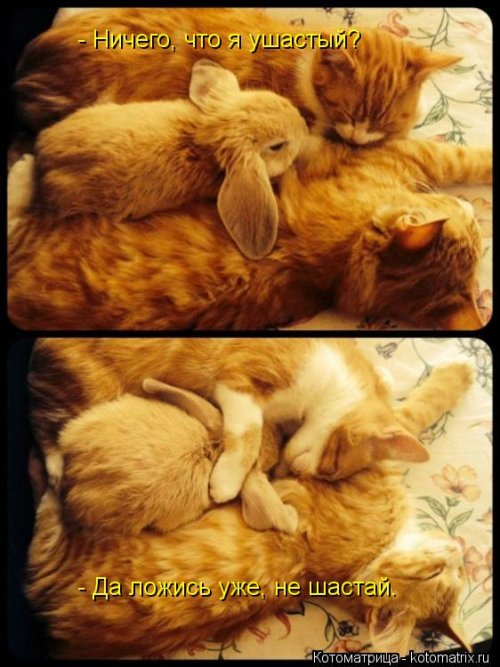 Смешные и забавные.....