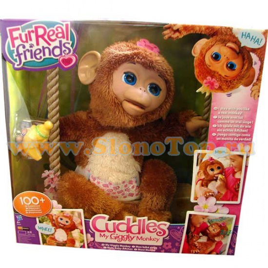 Помогите выбрать обезьянку!