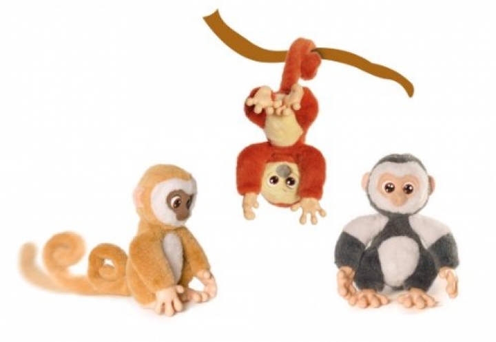 Помогите выбрать обезьянку!