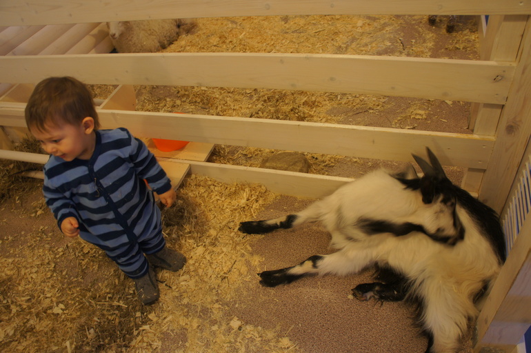 Случайный зоопарк