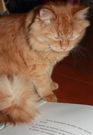 Инга Мур: Капитан Кошкин