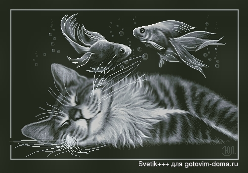 Дорогие девочки нужна ваша помощь!!!