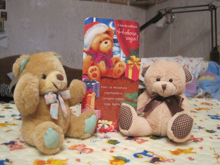 Спасибо Фее и ее помошнику!