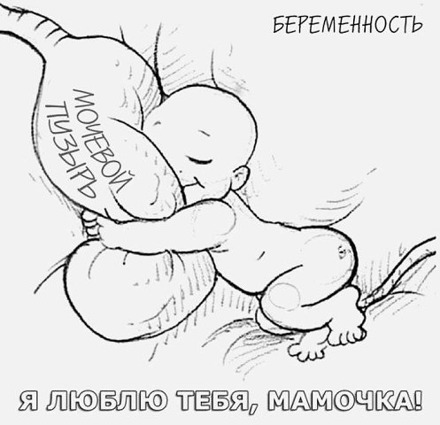 Ненавижу беременных женщин и маленьких детей 138 Ненавижу беременных женщин и маленьких детей 869