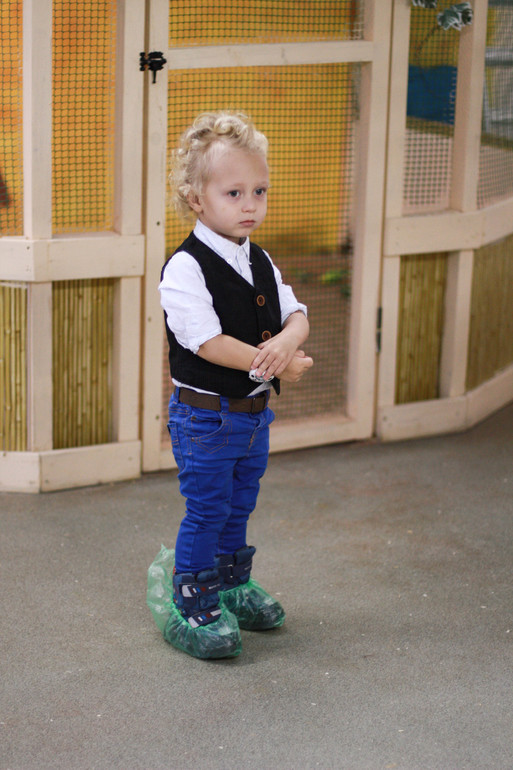 Контактный зоопарк м.Теплый стан