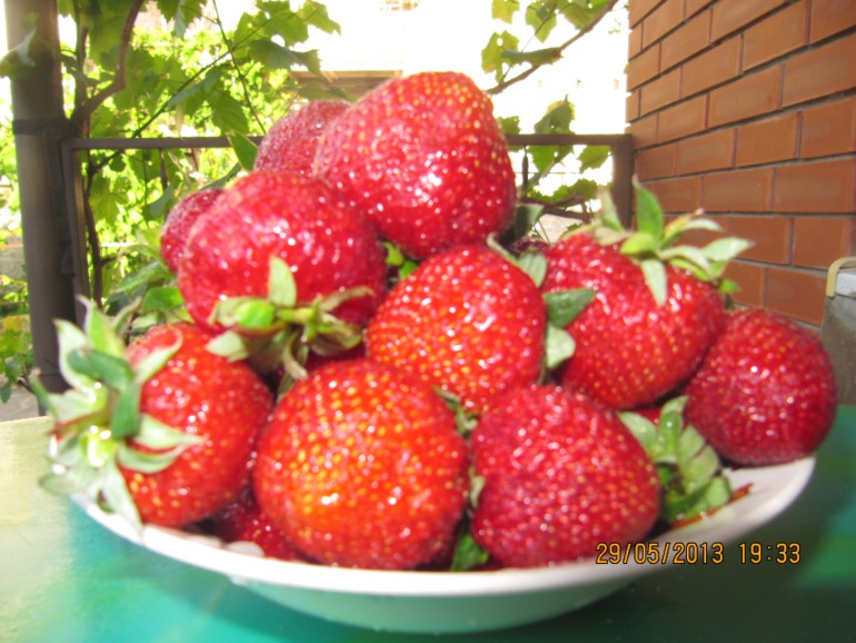 Домашние заготовки с Кубани,с собственного сада.