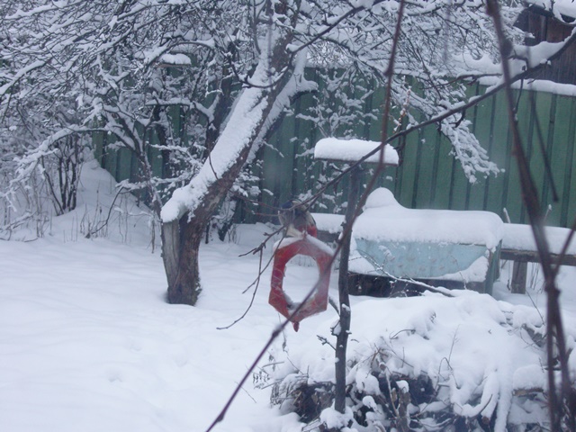 Машина времени. Урок 2. Часть 1. Дом