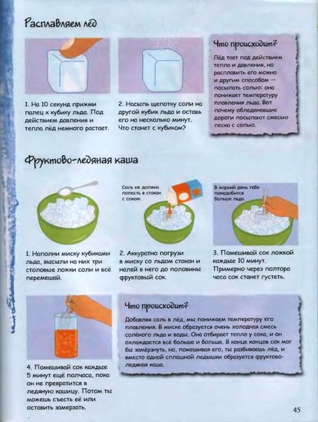 День 4. Пингвин