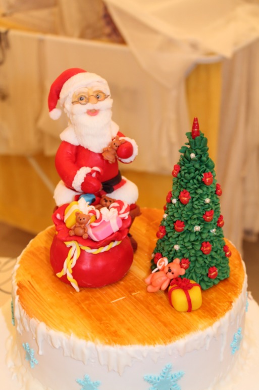 Новогодний 9кг.