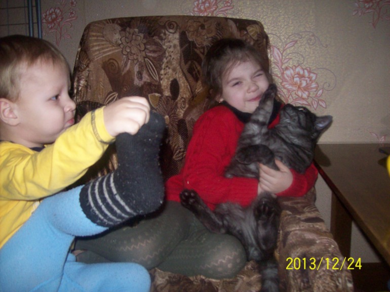 дети и кот