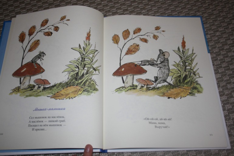 Наше декабрьское чтение