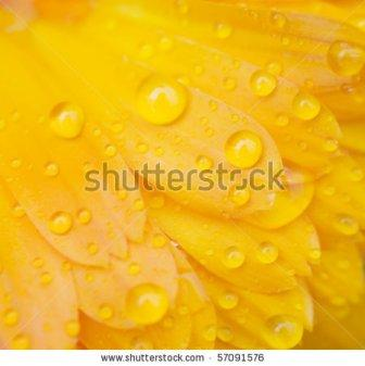 давайте дружить!!!