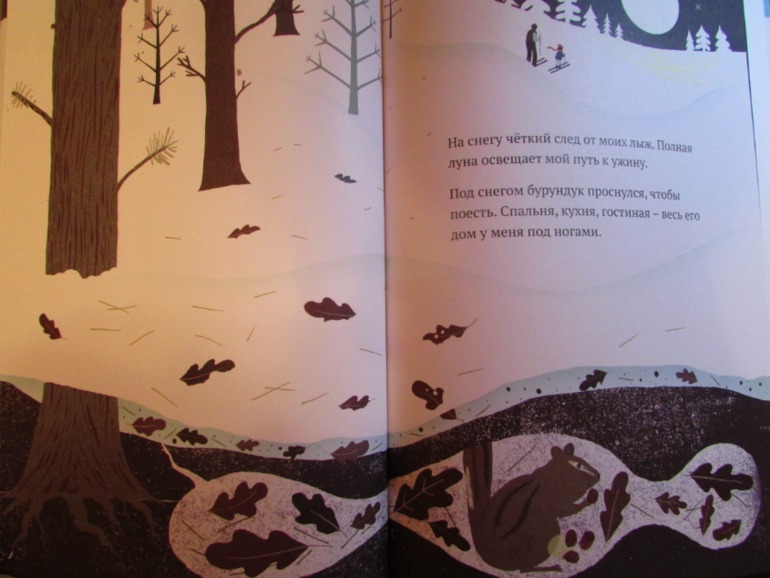 Наши зимние книжечки