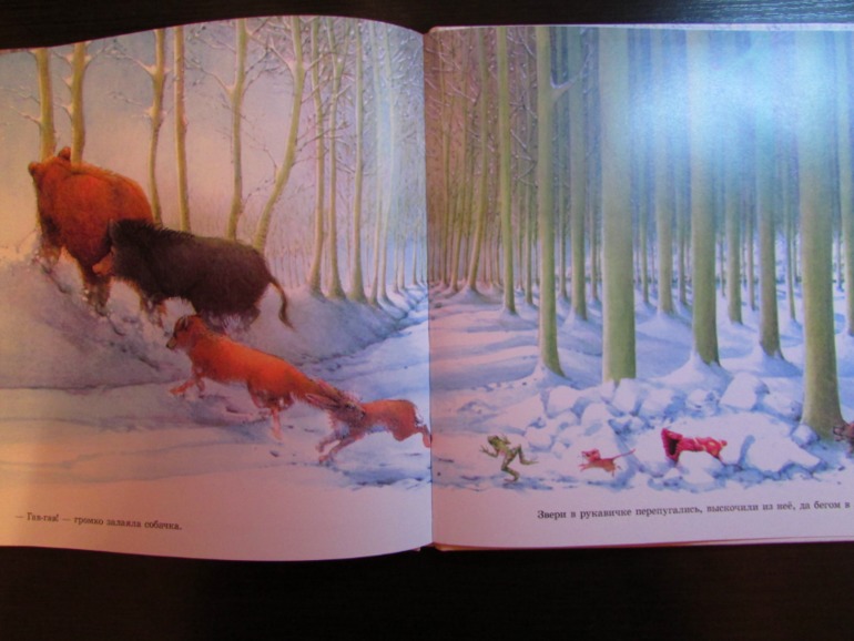 Наши зимние книжечки